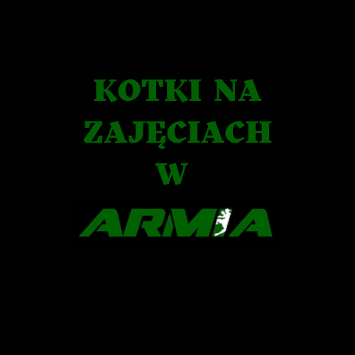 Grupa Kotki na zdjęciach w Armii Polkowice