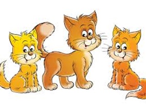 Dzień kota u Kotk&oacute;w 