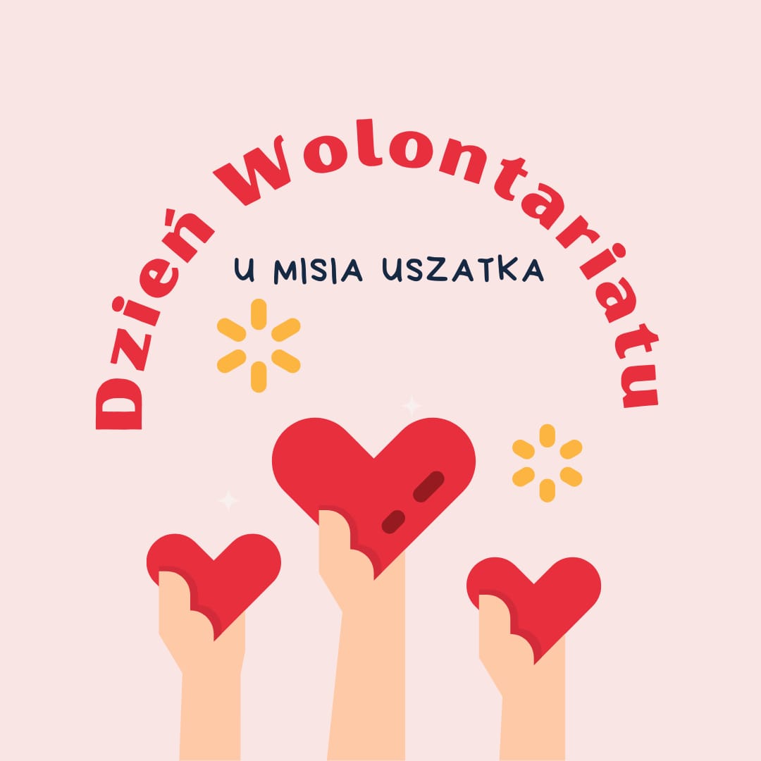 Dzień Wolontariatu u Misia Uszatka