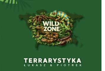 Warsztaty terrarystyczne u Misi&oacute;w i Zajączk&oacute;w