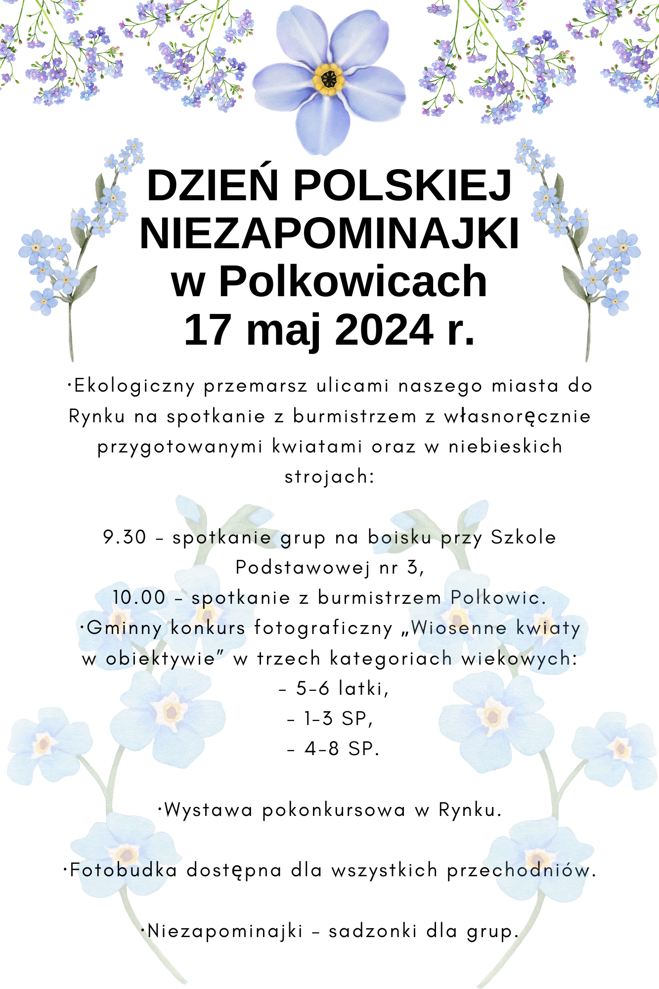 DZIEŃ POLSKIEJ NIEZAPOMINAJKI 