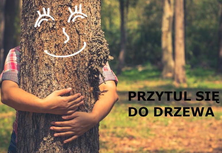 Przytul się do drzewa 