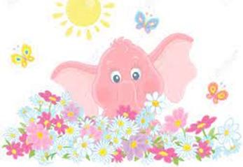 Różowe dni u Misia Uszatka