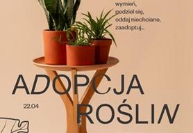 Wymiana roślin doniczkowych 