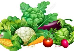 Kiermasz zdrowej żywności 