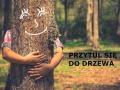 Przytul się do drzewa 