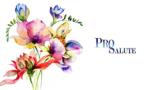 PROSALUTE